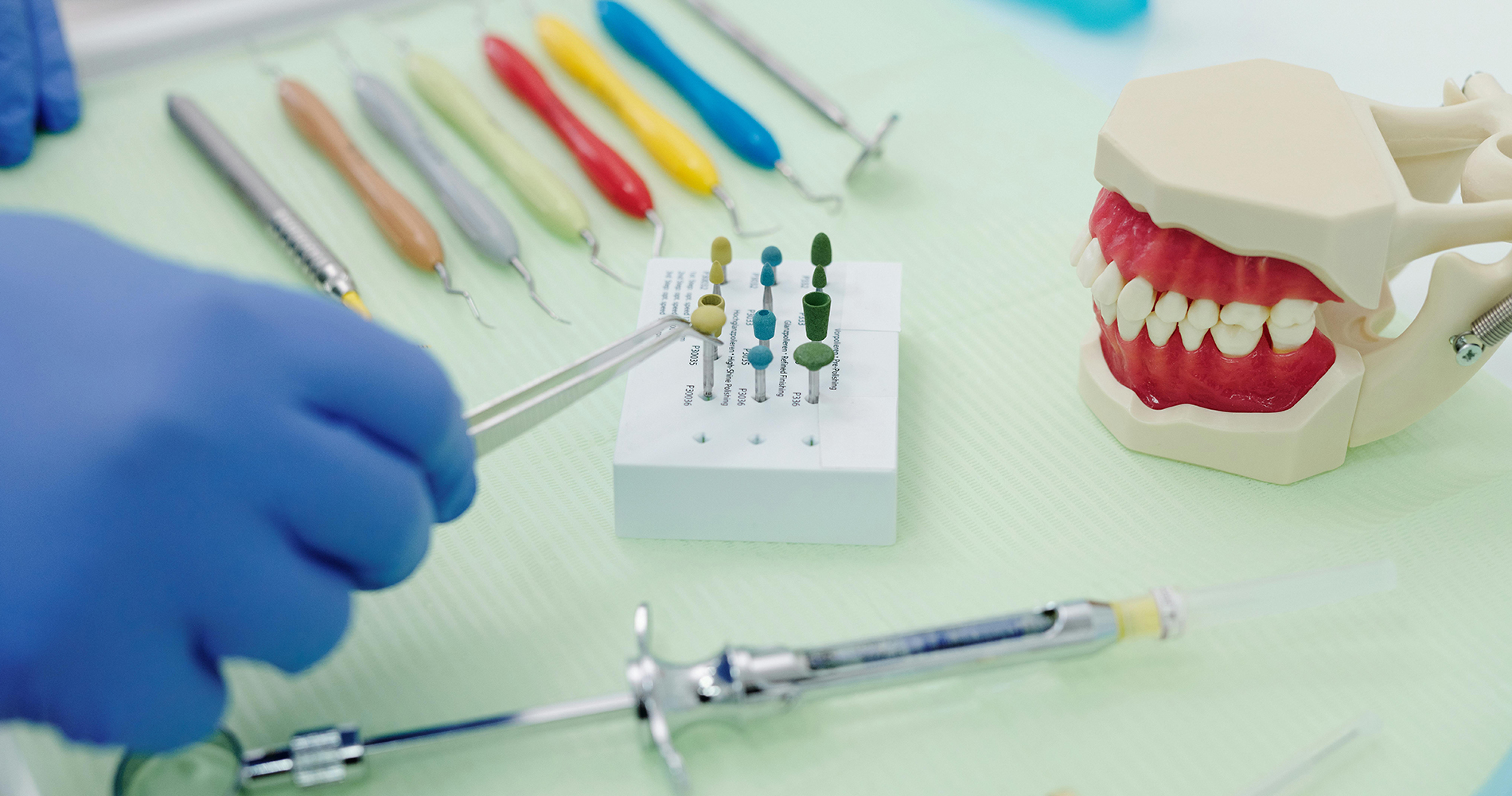 Dental Health Education models